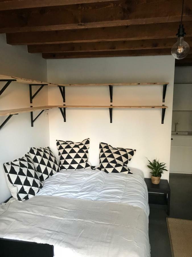 Le Studio Du Moulin Apartment Chambery Bagian luar foto