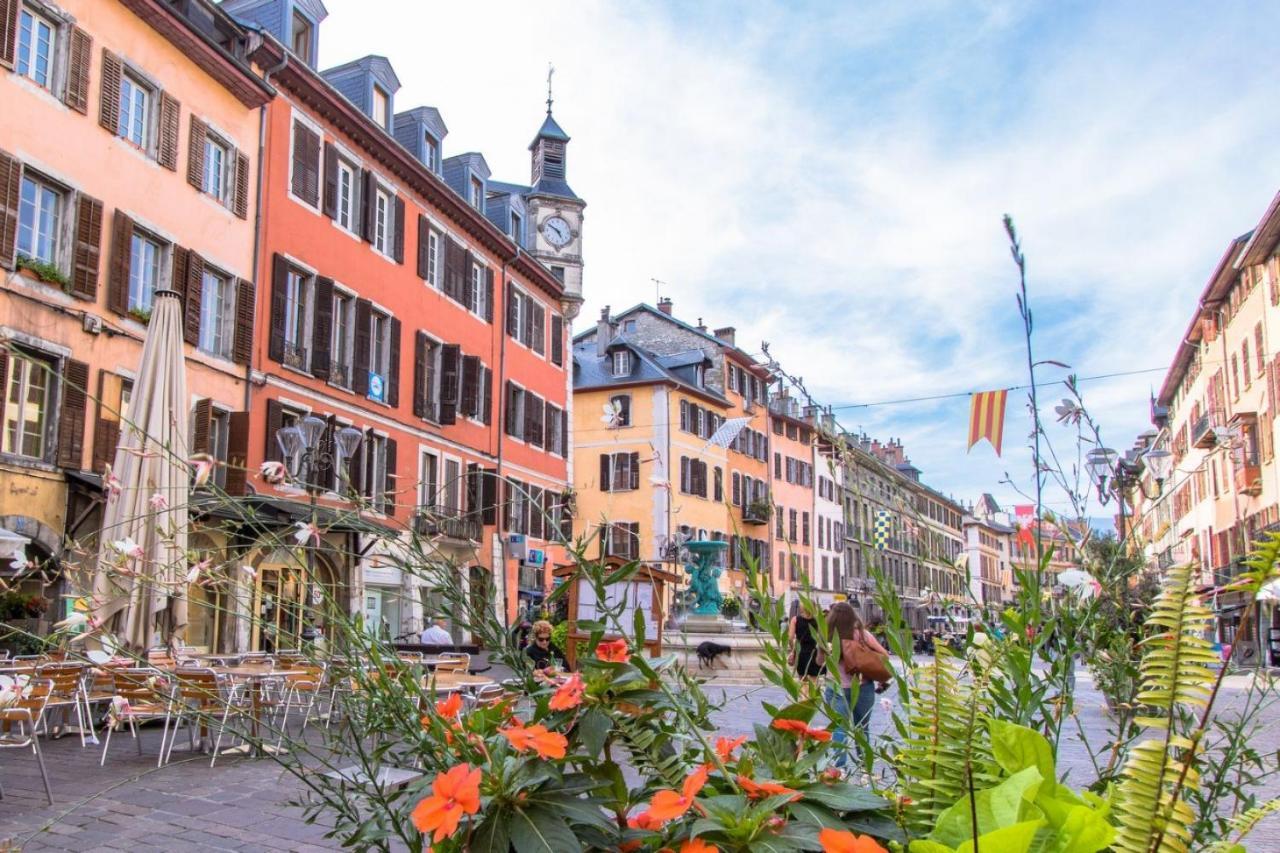 Le Studio Du Moulin Apartment Chambery Bagian luar foto